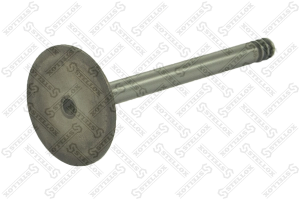 Intake Valve (01-23238-SX)