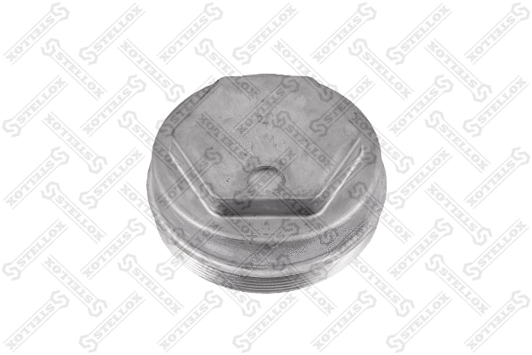 Cap, wheel bearing (83-00025-SX)
