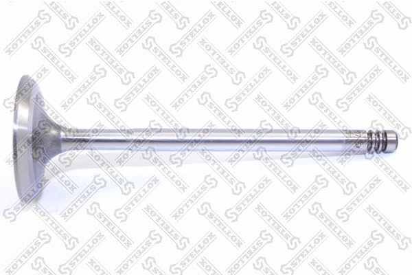 Intake Valve (01-23197-SX)