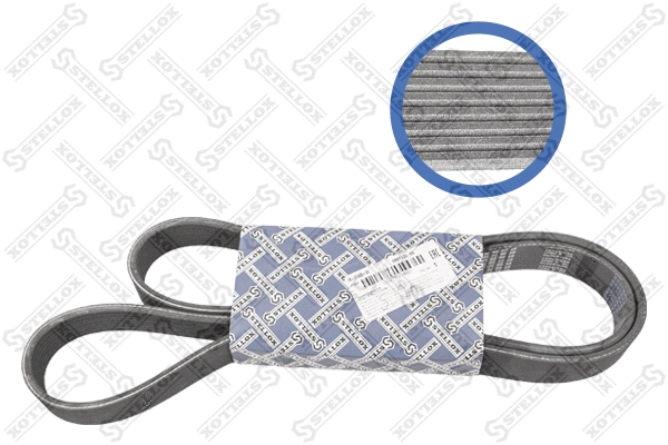 V-Ribbed Belt (08-01420-SX)