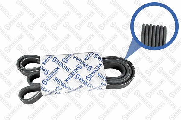 V-Ribbed Belt (07-02120-SX)
