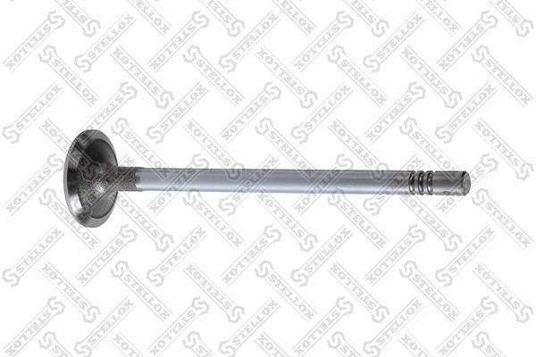 Intake Valve