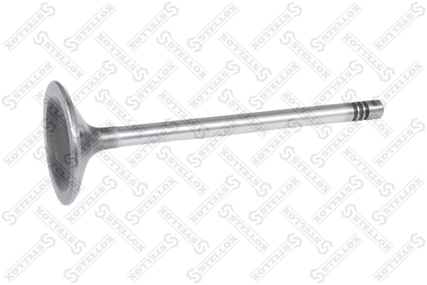 Intake Valve (01-23339-SX)