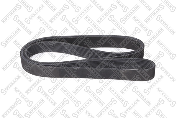 V-Ribbed Belt (09-02010-SX)