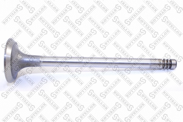 Intake Valve (01-23194-SX)