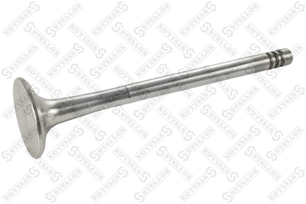 Exhaust Valve (01-24273-SX)