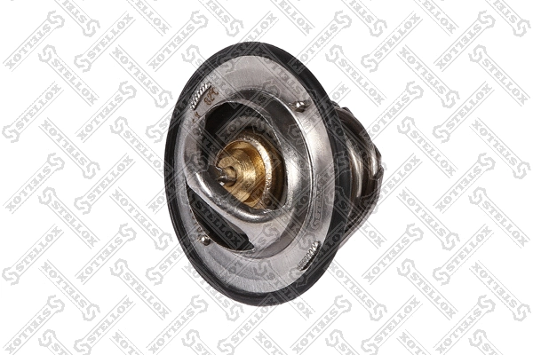 Thermostat, coolant (82-24038-SX)