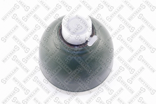 Pressure Accumulator, pneumatic suspension (70-00085-SX)