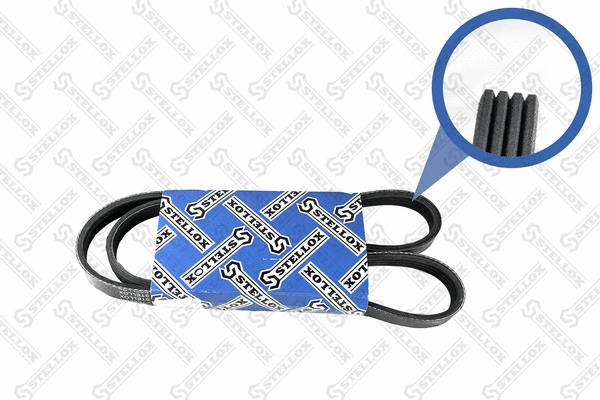 V-Ribbed Belt (04-01075-SX)
