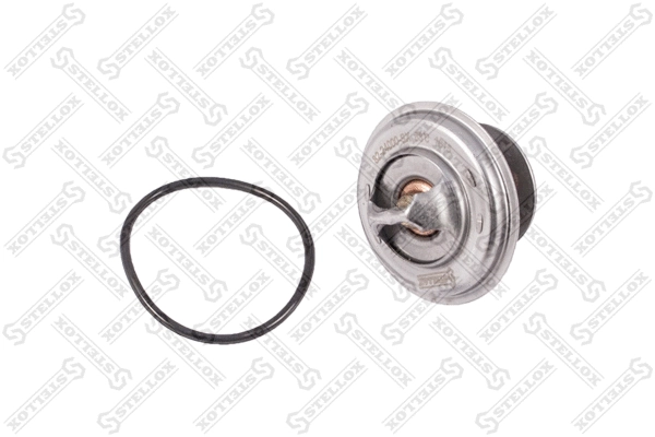 Thermostat, coolant (82-24000-SX)