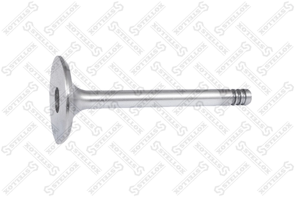 Intake Valve (01-23117-SX)