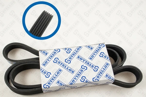 V-Ribbed Belt (06-01685-SX)