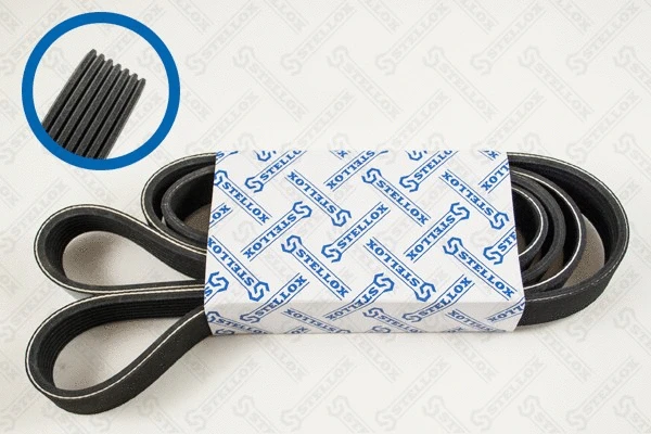 V-Ribbed Belt (07-02035-SX)