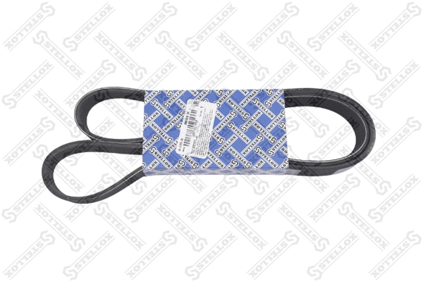 V-Ribbed Belt (08-01376-SX)