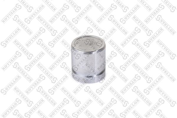 Piston, brake caliper (04-98309-SX)