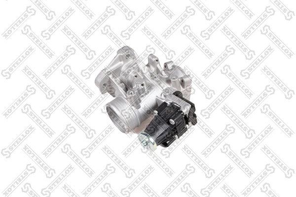 EGR Valve (01-25136-SX)