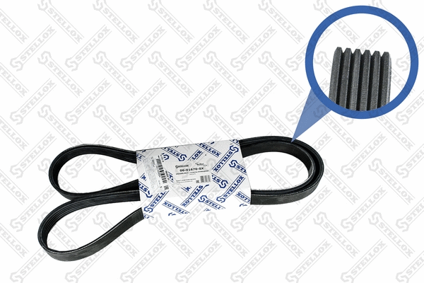 V-Ribbed Belt (06-01670-SX)