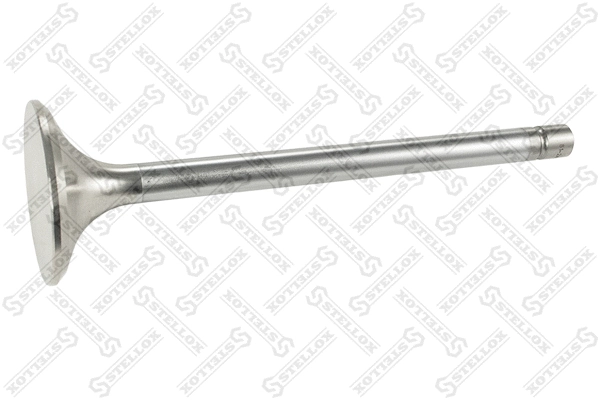 Exhaust Valve (81-24602-SX)