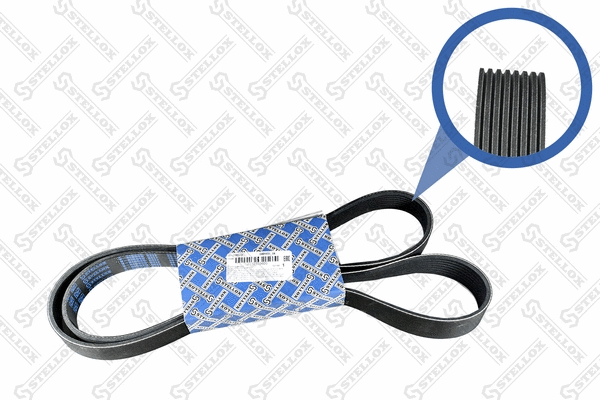 V-Ribbed Belt (08-01655-SX)