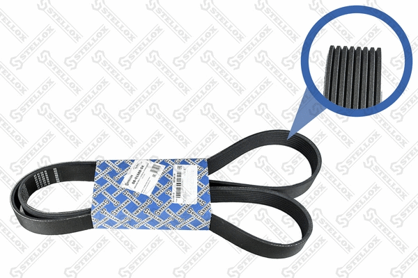 V-Ribbed Belt (08-01688-SX)