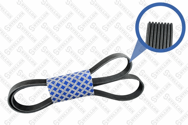 V-Ribbed Belt (08-01980-SX)