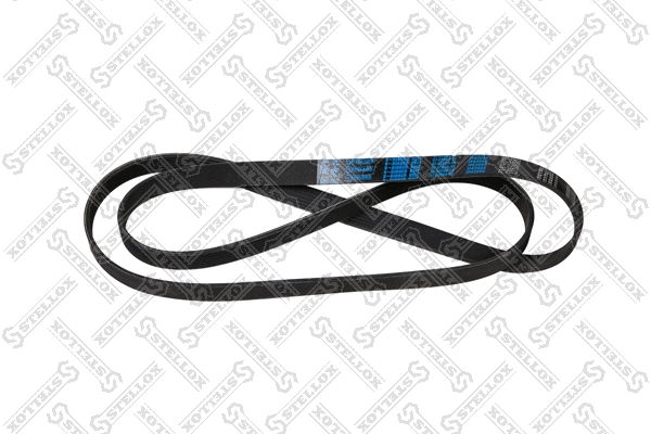 V-Ribbed Belt (07-02080-SX)
