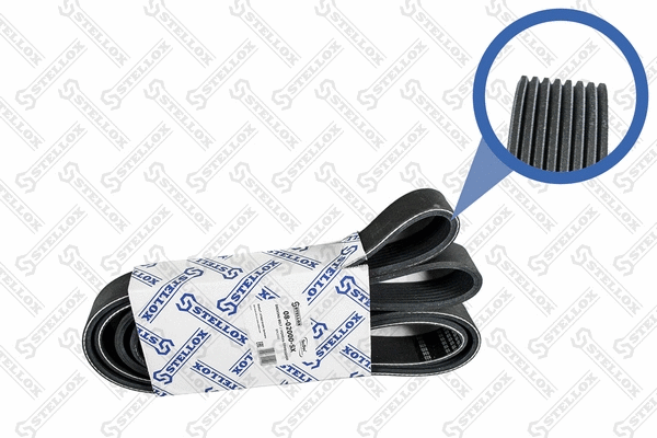 V-Ribbed Belt (08-02000-SX)