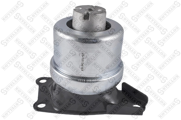 Mounting, engine (25-18134-SX)