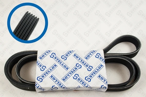 V-Ribbed Belt (06-01856-SX)