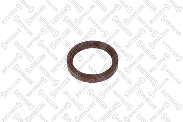 Seal Ring, spring bush (spring eye) (81-01062-SX)