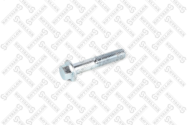 Camber Correction Screw (79-01141-SX)