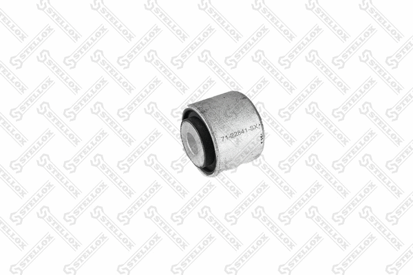 Mounting, control/trailing arm (71-22841-SX)