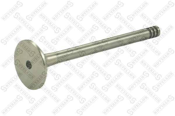 Exhaust Valve (01-24309-SX)