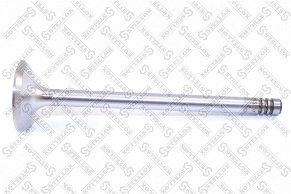 Exhaust Valve (01-24253-SX)