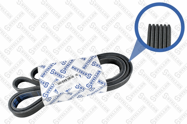 V-Ribbed Belt (06-02285-SX)