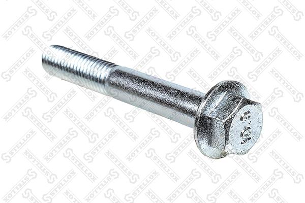 Screw (79-09002-SX)