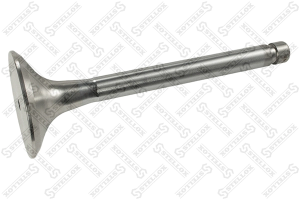 Exhaust Valve (81-24609-SX)