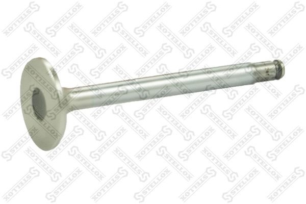 Exhaust Valve (01-24101-SX)