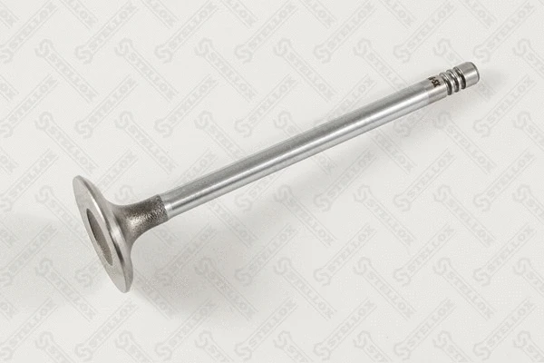 Intake Valve (01-24346-SX)