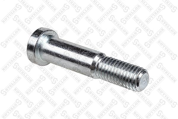 Screw