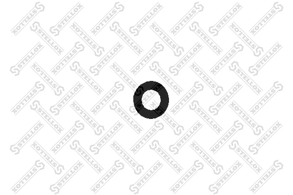 Washer (81-66704-SX)
