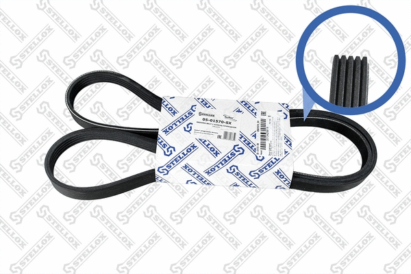 V-Ribbed Belt (05-01570-SX)