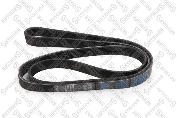 V-Ribbed Belt (07-01705-SX)