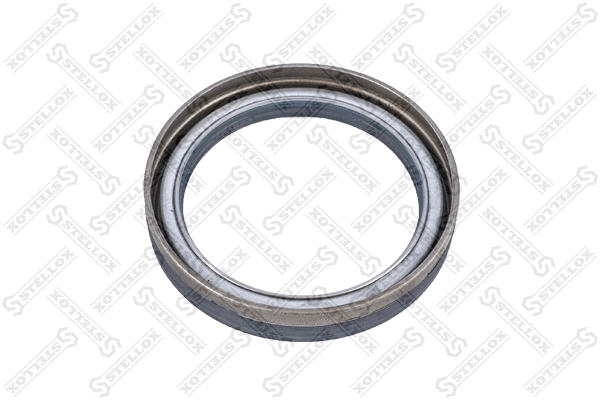 Shaft Seal, wheel hub (81-01014-SX)