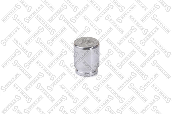 Piston, brake caliper (04-98319-SX)