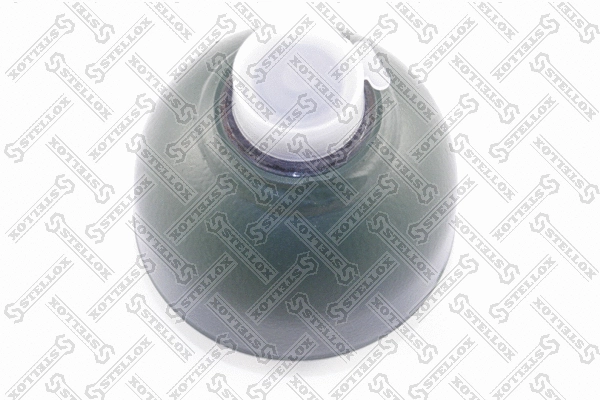 Pressure Accumulator, pneumatic suspension (70-00079-SX)