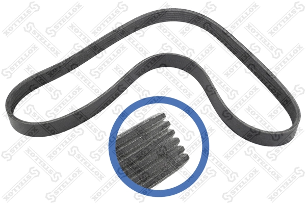 V-Ribbed Belt (06-01019-SX)