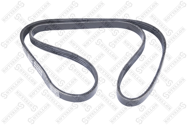 V-Ribbed Belt (04-01260-SX)