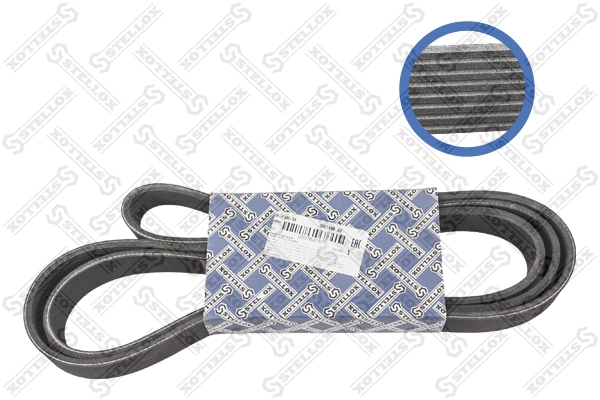 V-Ribbed Belt (08-01988-SX)