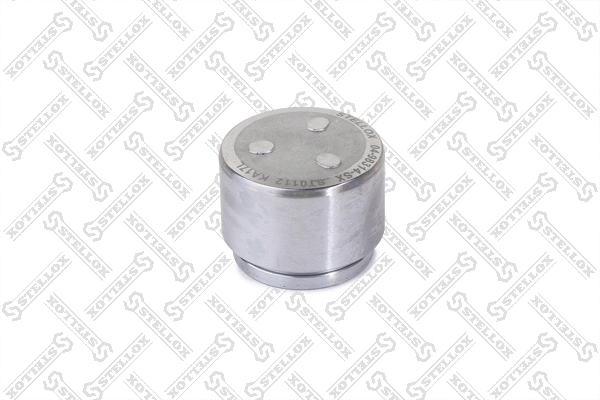 Piston, brake caliper (04-98314-SX)